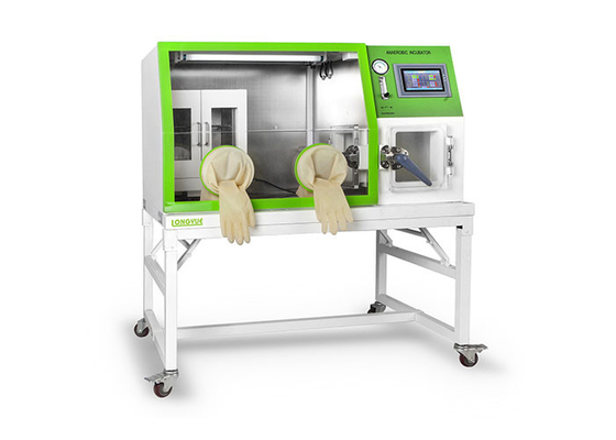 Stainless Steel Anaerobic Incubator Operation Room Imported Oxygen Sensor LAI-3T
