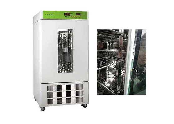Commercial Digital Laboratory Incubator / Labline Incubator 80L Easy Maintenance