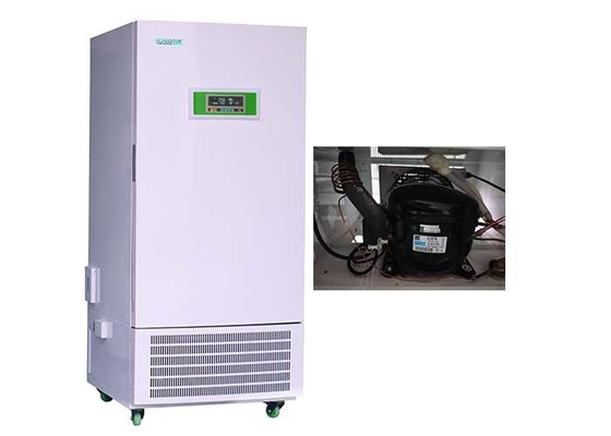 Vertical Temperature And Humidity Test Chamber / Drug Stability Chamber In Pharma