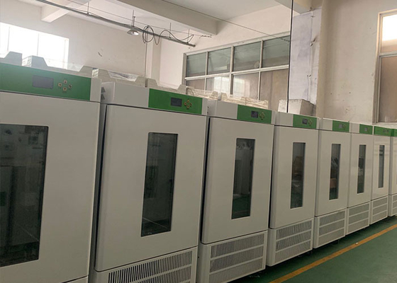 High Precision Medical Biochemical Incubators Used In Microbiology Lab