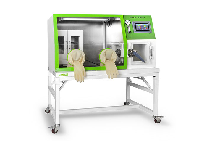 Stainless Steel Anaerobic Incubator Operation Room Imported Oxygen Sensor LAI-3T