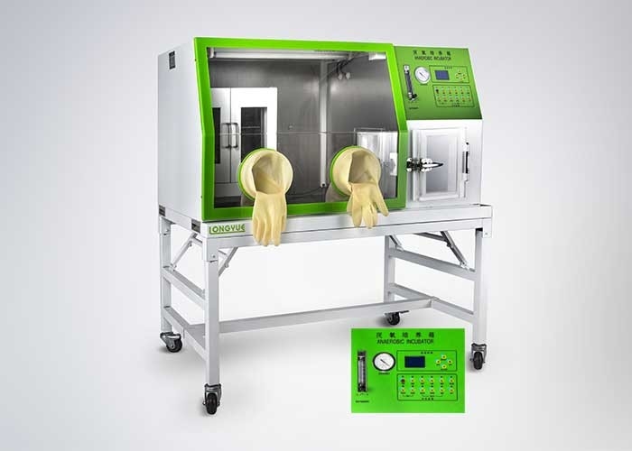 Double Door Anaerobic Box Laboratory Incubator For Bacterial Culture