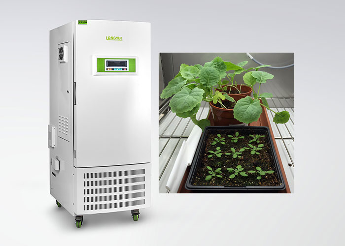 CE Humidity Control Plant Growth Chamber For Plant Tissue Culture Special Type