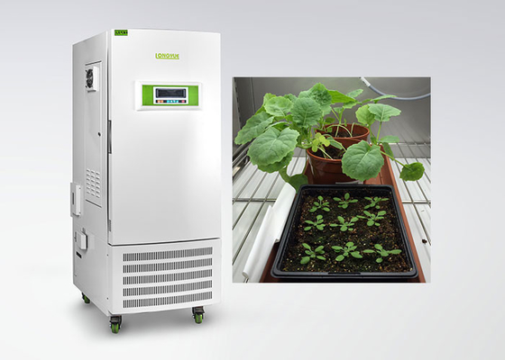 CE Humidity Control Plant Growth Chamber For Plant Tissue Culture Special Type